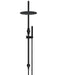 Meir Round Gooseneck Shower Set with 300mm Rose, Single-Function Hand Shower