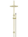 Meir Round Gooseneck Shower Set with 300mm Rose, Single-Function Hand Shower