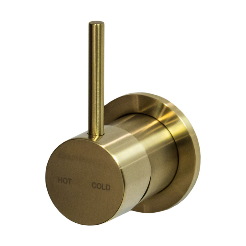 Millennium Cioso Shower Mixer Pin Up