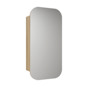 Aulic Vienna Shaving Cabinet 450mm