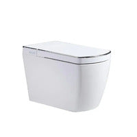 Lafeme Bloc Electric Smart Luxury Bidet Toilet Suite