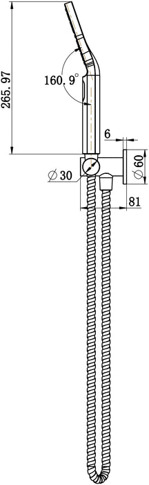 MODERN NATIONAL Star Mini Shower on Bracket Microphone Handshower