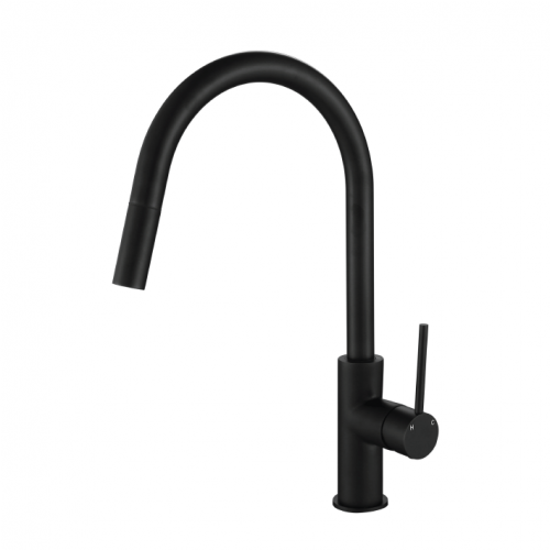 Modern National Star Mini Pull Out Kitchen Mixer