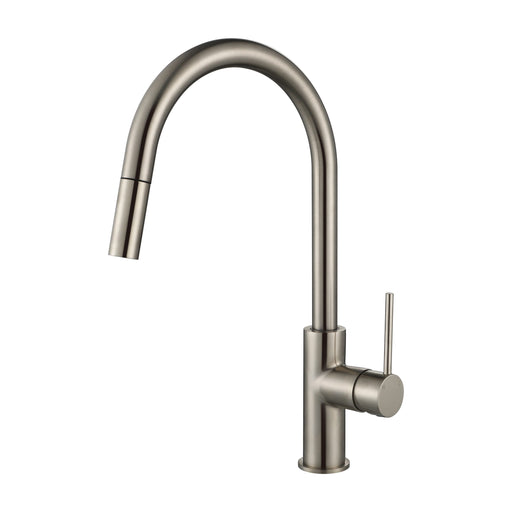 Modern National Star Mini Pull Out Kitchen Mixer