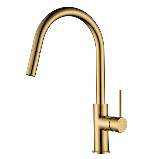 Modern National Star Mini Pull Out Kitchen Mixer
