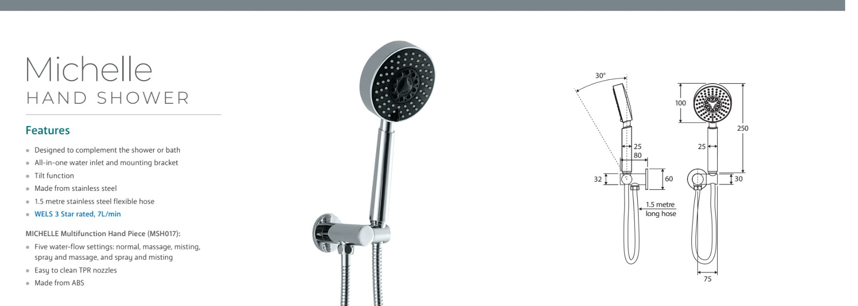 Fienza Michelle Hand Shower, Chrome