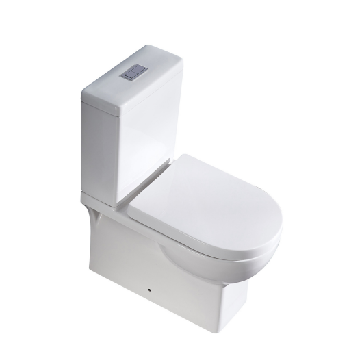 BNK Naga Dynamic Flushing Toilet