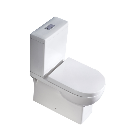 Dynamic Flushing Toilet