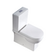 Dynamic Flushing Toilet