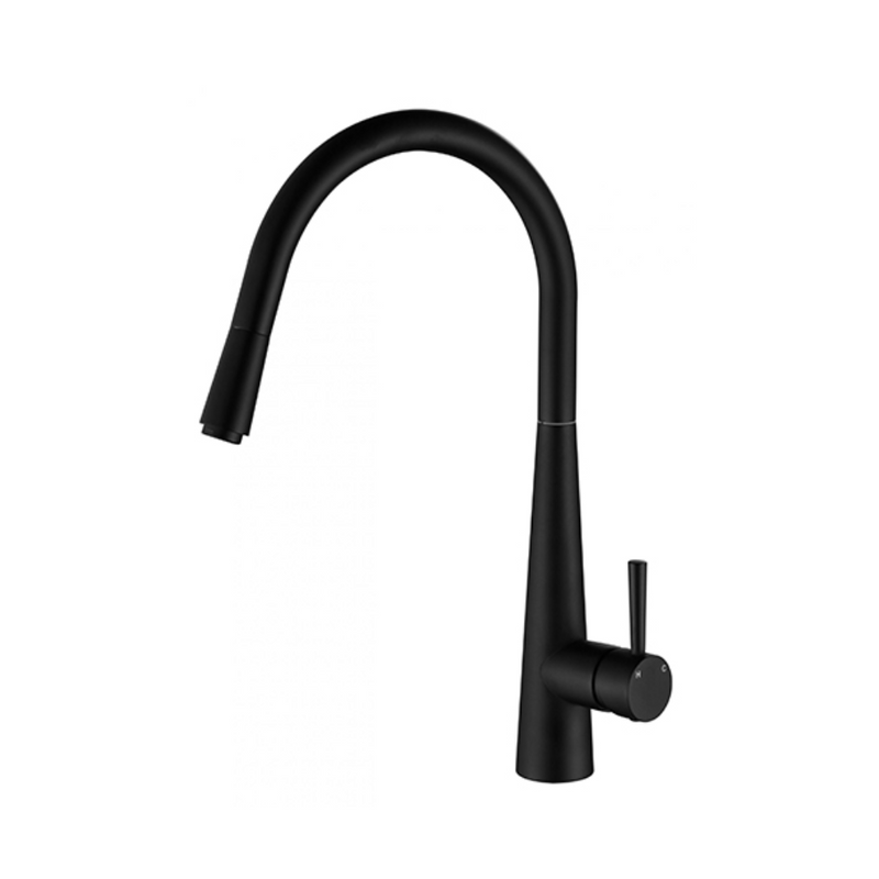 Modern National Kasper Pull Out Kitchen Mixer