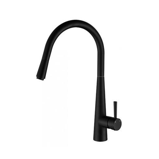Modern National Kasper Pull Out Kitchen Mixer