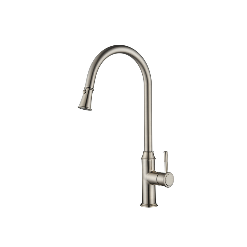 Modern National Montpellier Pull Out Kitchen Mixer