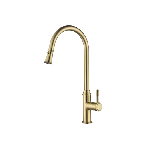 Modern National Montpellier Pull Out Kitchen Mixer