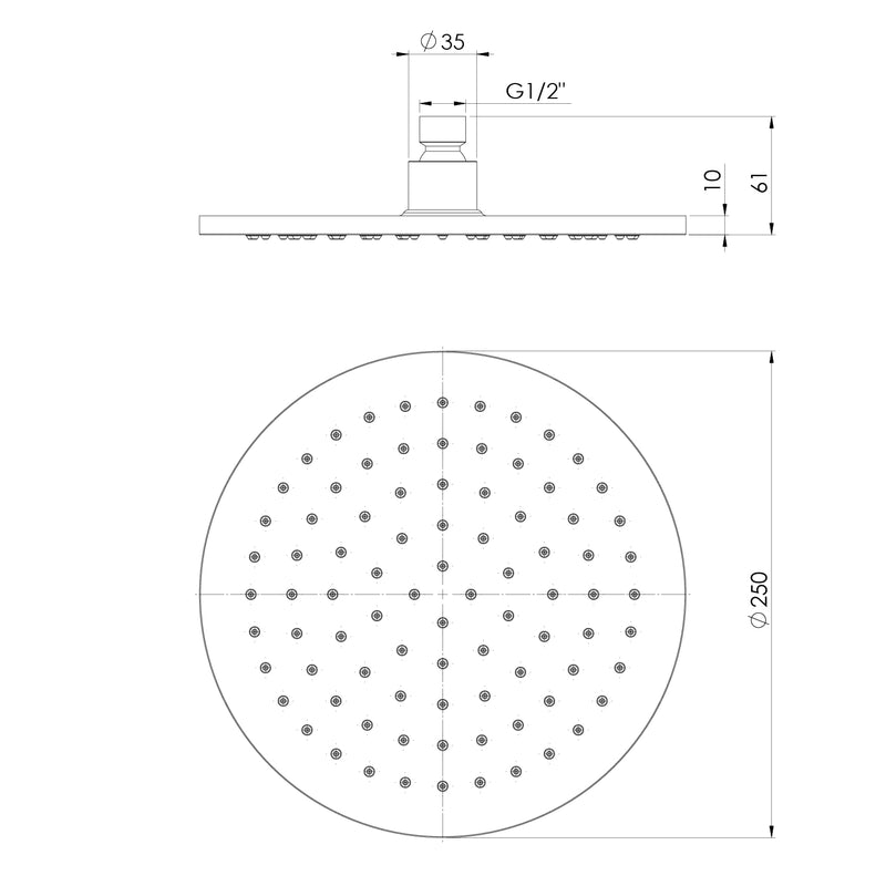Phoenix Vivid Shower Rose 250mm Round
