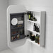 Aulic Vienna Shaving Cabinet matte white