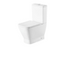 Azzura 60 Series Wall Faced Dual Flush Back Inlet Toilet