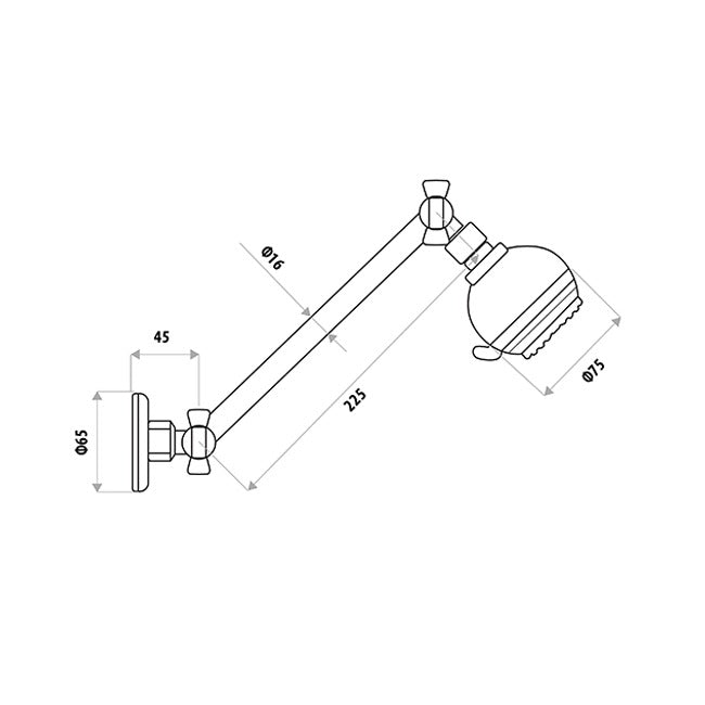 Sat All Directional Shower