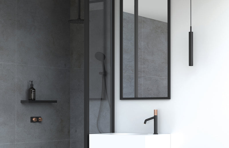Phoenix Vivid Shower Rose 230mm Round