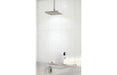 Phoenix Teel Shower / Wall Mixer