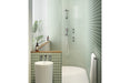 Phoenix NX Vive Hand Shower