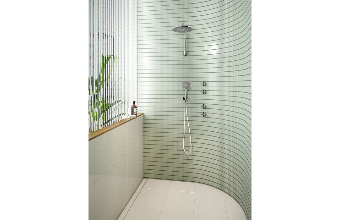 Phoenix NX Vive Shower Arm & Rose