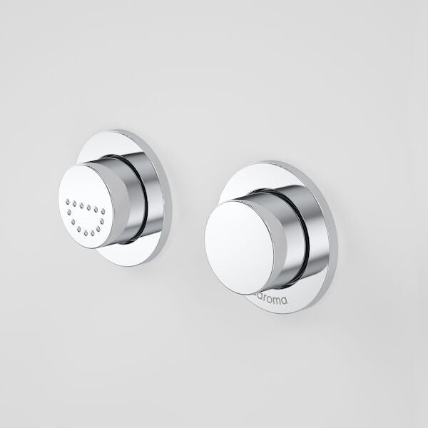 Caroma Invisi Series II® Round Dual Flush Raised Care Remote Buttons (Plastic) Satin