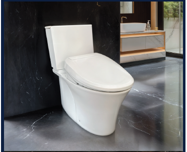 Kohler Veil Back to Wall Toilet Suite  C3-255 Electronic Bidet Seat-Top Inlet.